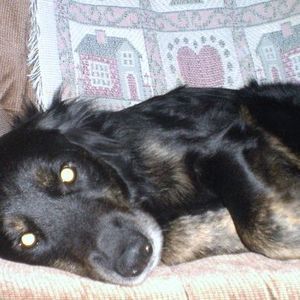 Meet your Posher, Kristin